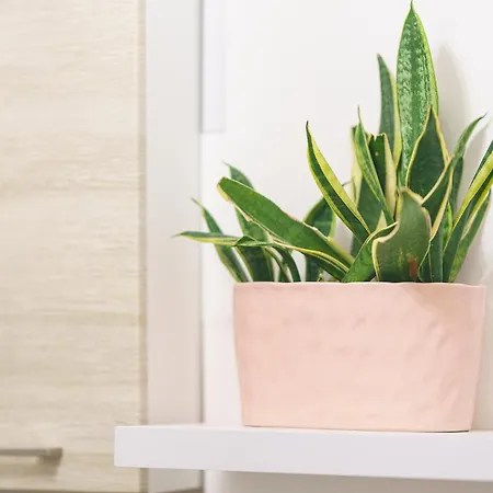 Dimora Matine Σπίτι διακοπών *