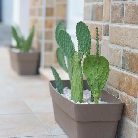 Σπίτι διακοπών Dimora Matine Pisticci