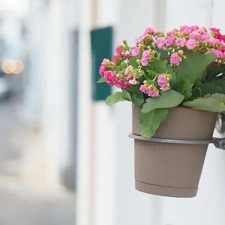 Dimora Matine * Pisticci