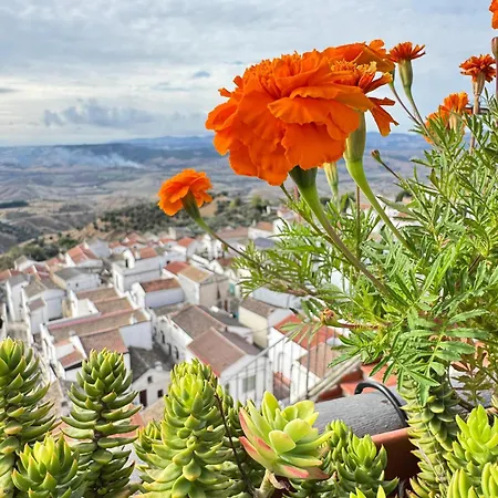 Dimora Matine Nyaraló