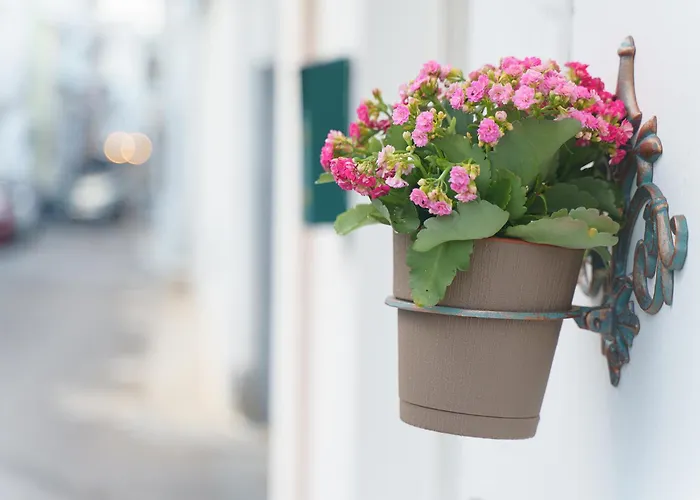 Dimora Matine * Pisticci