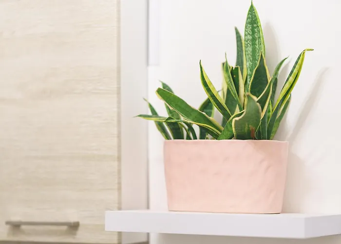 Dimora Matine Prázdninový dům *