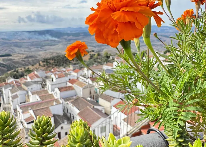 Dimora Matine Hébergement de vacances